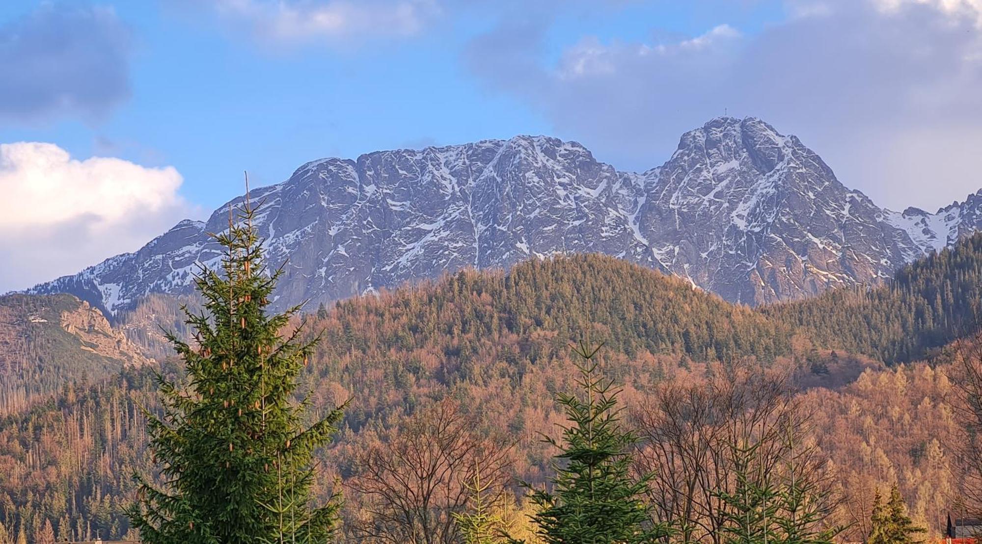 Apartamenty Convallis Kościelisko Exteriér fotografie